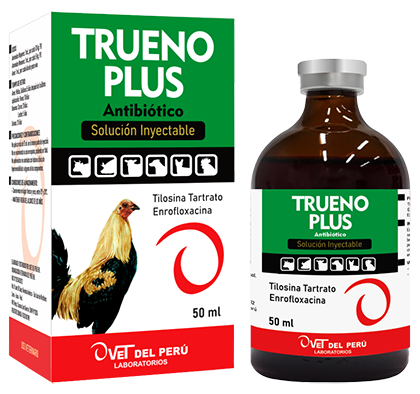 TRUENO PLUS