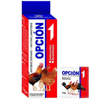 OPCIÓN 1