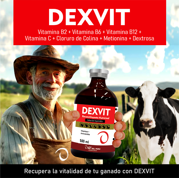 Imagen del modal