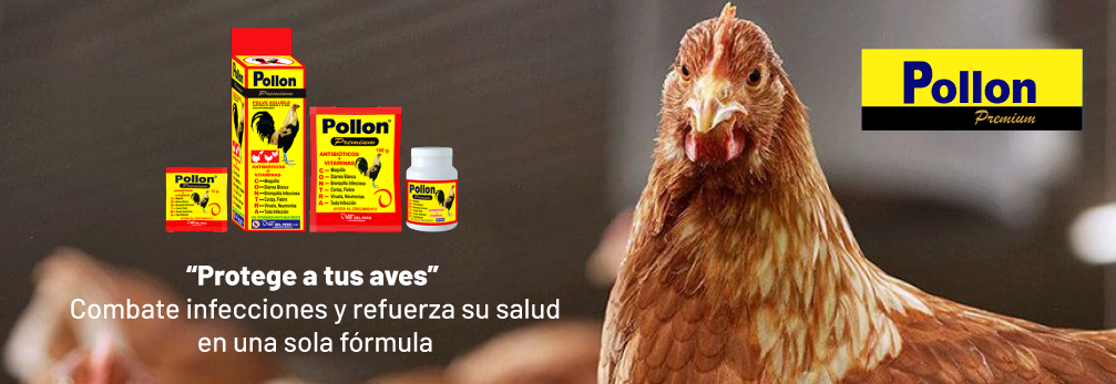 Publicidad