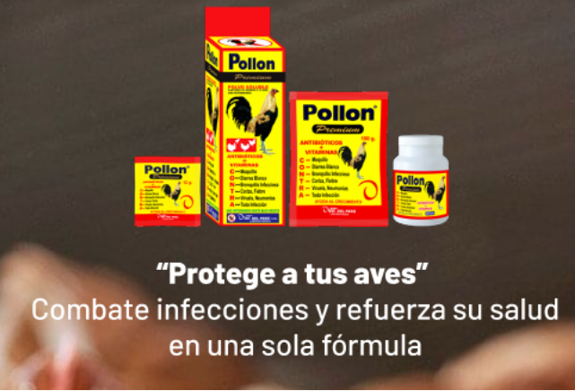 Publicidad