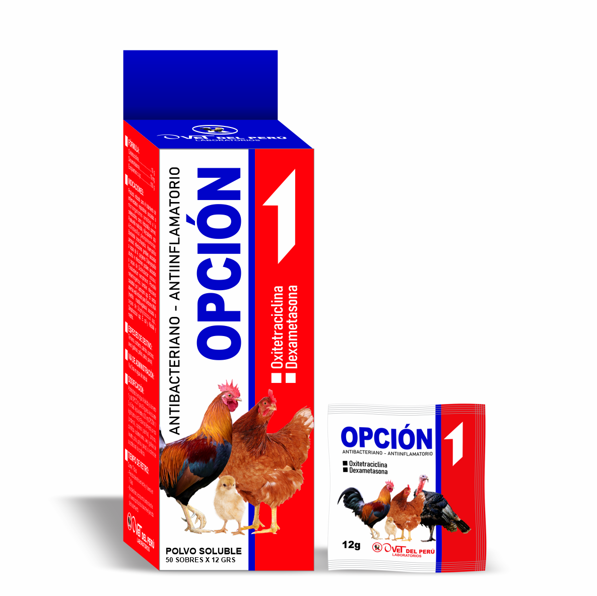 OPCIÓN 1