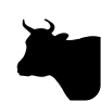 Bovinos
