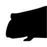 Cobayos
