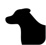 Caninos